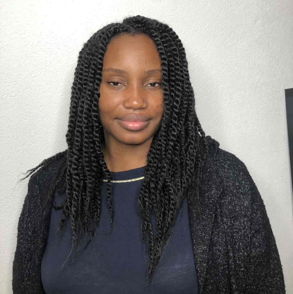 salon de coiffure afro tresse tresses box braids crochet braids vanilles tissages paris 75 77 78 91 92 93 94 95 WTUMBXAR