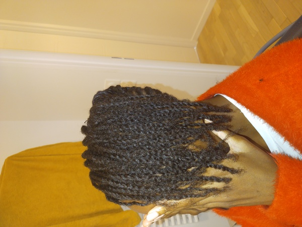 salon de coiffure afro tresse tresses box braids crochet braids vanilles tissages paris 75 77 78 91 92 93 94 95 WNCCDEKY