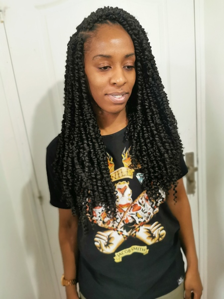 salon de coiffure afro tresse tresses box braids crochet braids vanilles tissages paris 75 77 78 91 92 93 94 95 BEFEGQLY