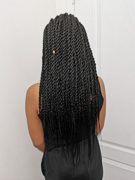 salon de coiffure afro tresse tresses box braids crochet braids vanilles tissages paris 75 77 78 91 92 93 94 95 PZOKJNUF