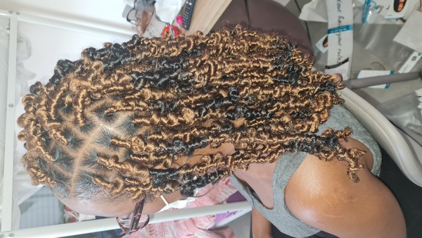 salon de coiffure afro tresse tresses box braids crochet braids vanilles tissages paris 75 77 78 91 92 93 94 95 SNEKFNIZ