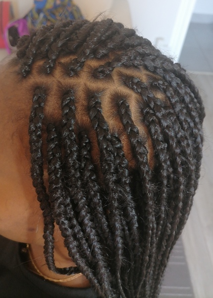 salon de coiffure afro tresse tresses box braids crochet braids vanilles tissages paris 75 77 78 91 92 93 94 95 NJKMDFQX