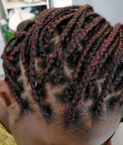 salon de coiffure afro tresse tresses box braids crochet braids vanilles tissages paris 75 77 78 91 92 93 94 95 CSFGDHBH