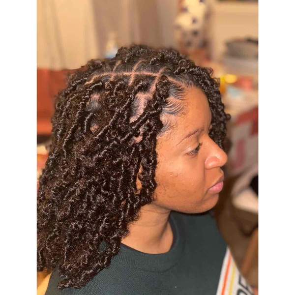 salon de coiffure afro tresse tresses box braids crochet braids vanilles tissages paris 75 77 78 91 92 93 94 95 NGJAEUCN