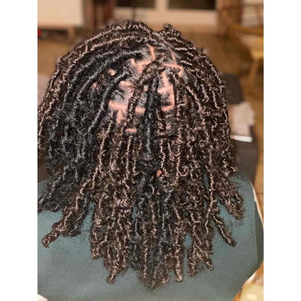 salon de coiffure afro tresse tresses box braids crochet braids vanilles tissages paris 75 77 78 91 92 93 94 95 MSCDNQWS