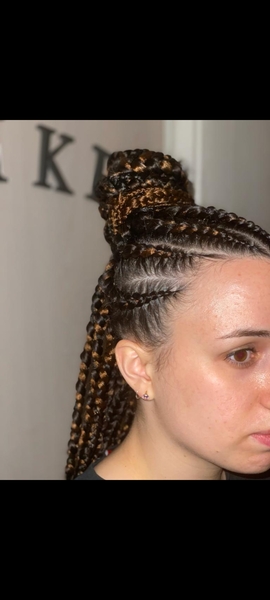 salon de coiffure afro tresse tresses box braids crochet braids vanilles tissages paris 75 77 78 91 92 93 94 95 VZMRITOG