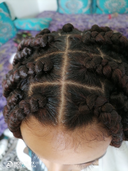 salon de coiffure afro tresse tresses box braids crochet braids vanilles tissages paris 75 77 78 91 92 93 94 95 XFGLZLQU