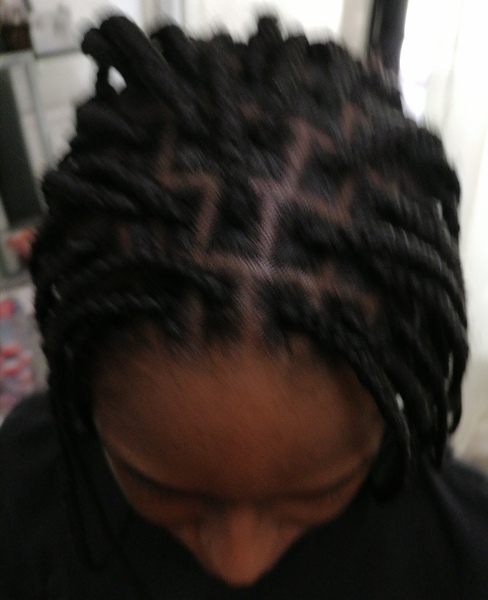 salon de coiffure afro tresse tresses box braids crochet braids vanilles tissages paris 75 77 78 91 92 93 94 95 FSVWTTBA