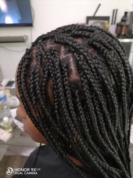salon de coiffure afro tresse tresses box braids crochet braids vanilles tissages paris 75 77 78 91 92 93 94 95 JDZXAJXE