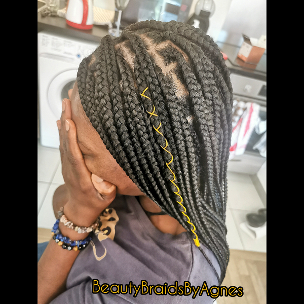 salon de coiffure afro tresse tresses box braids crochet braids vanilles tissages paris 75 77 78 91 92 93 94 95 SQEUDHKF