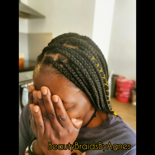 salon de coiffure afro tresse tresses box braids crochet braids vanilles tissages paris 75 77 78 91 92 93 94 95 DMBQBVQI