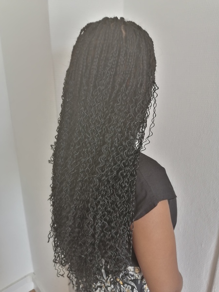 salon de coiffure afro tresse tresses box braids crochet braids vanilles tissages paris 75 77 78 91 92 93 94 95 FIPZKSLK