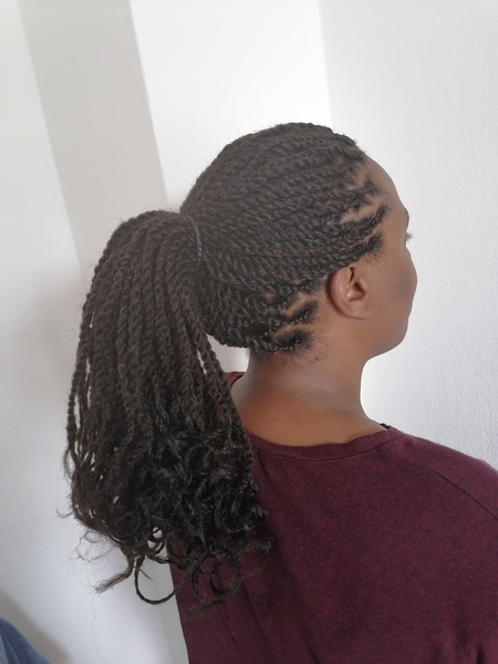 salon de coiffure afro tresse tresses box braids crochet braids vanilles tissages paris 75 77 78 91 92 93 94 95 GKBDWYRG