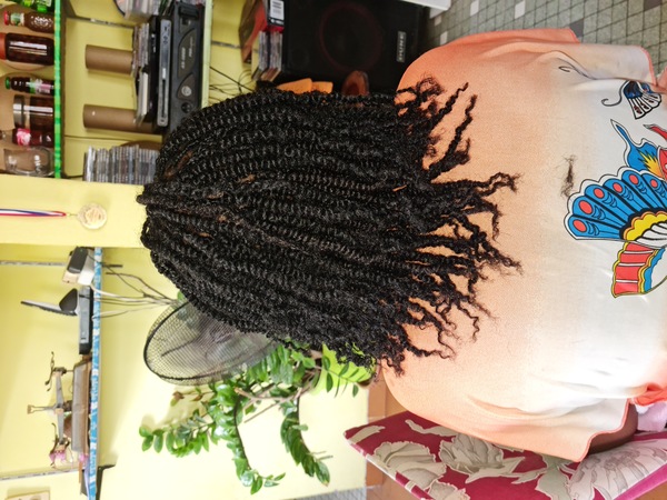 salon de coiffure afro tresse tresses box braids crochet braids vanilles tissages paris 75 77 78 91 92 93 94 95 QCBXSDZN