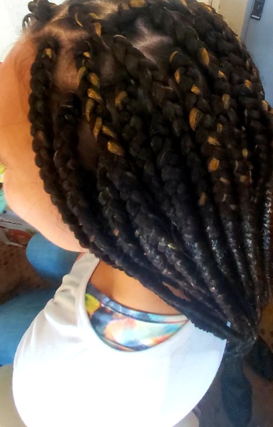 salon de coiffure afro tresse tresses box braids crochet braids vanilles tissages paris 75 77 78 91 92 93 94 95 QPPUTVPP