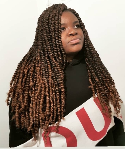salon de coiffure afro tresse tresses box braids crochet braids vanilles tissages paris 75 77 78 91 92 93 94 95 ZESBHKIK