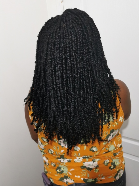 salon de coiffure afro tresse tresses box braids crochet braids vanilles tissages paris 75 77 78 91 92 93 94 95 NAKTVHTH