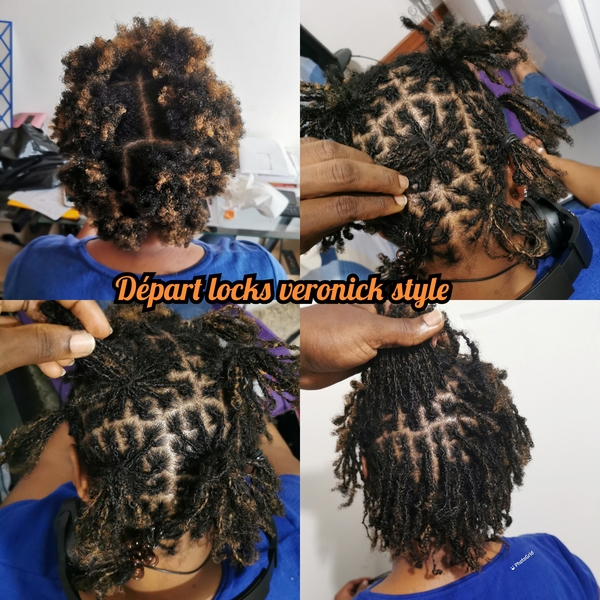 salon de coiffure afro tresse tresses box braids crochet braids vanilles tissages paris 75 77 78 91 92 93 94 95 FKWFNSSN