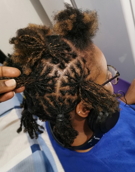 salon de coiffure afro tresse tresses box braids crochet braids vanilles tissages paris 75 77 78 91 92 93 94 95 RWDYWQKF
