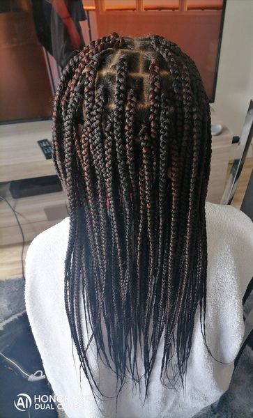 salon de coiffure afro tresse tresses box braids crochet braids vanilles tissages paris 75 77 78 91 92 93 94 95 JGLMBXMF