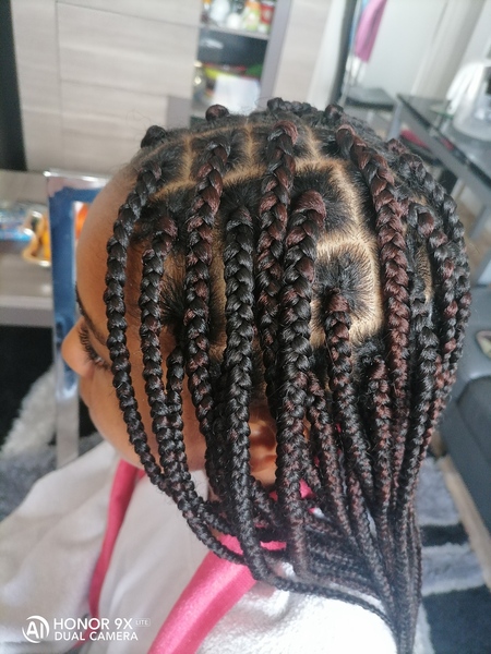 salon de coiffure afro tresse tresses box braids crochet braids vanilles tissages paris 75 77 78 91 92 93 94 95 ONWFKHWB