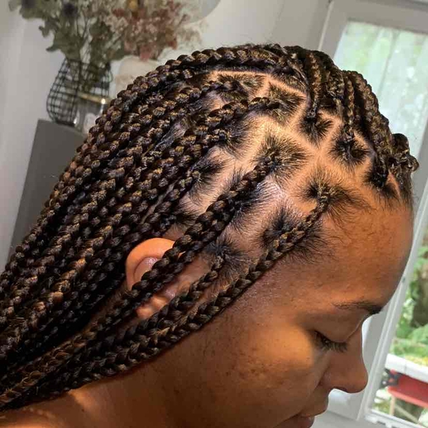 salon de coiffure afro tresse tresses box braids crochet braids vanilles tissages paris 75 77 78 91 92 93 94 95 SPLJLXBH
