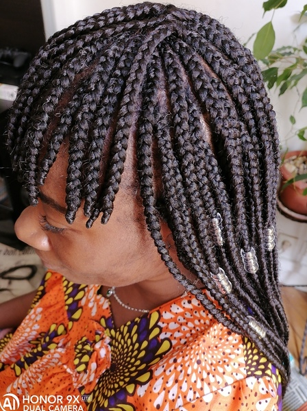 salon de coiffure afro tresse tresses box braids crochet braids vanilles tissages paris 75 77 78 91 92 93 94 95 XEXSUCBH
