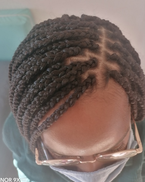 salon de coiffure afro tresse tresses box braids crochet braids vanilles tissages paris 75 77 78 91 92 93 94 95 NNRPAUJP