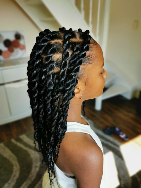 salon de coiffure afro tresse tresses box braids crochet braids vanilles tissages paris 75 77 78 91 92 93 94 95 PLXVKPTC