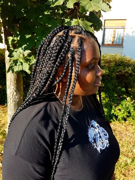 salon de coiffure afro tresse tresses box braids crochet braids vanilles tissages paris 75 77 78 91 92 93 94 95 ZRQUCBIO