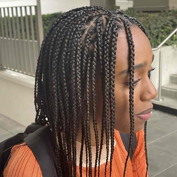 salon de coiffure afro tresse tresses box braids crochet braids vanilles tissages paris 75 77 78 91 92 93 94 95 IYFSZVAQ