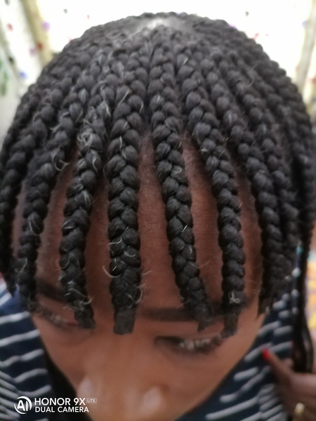 salon de coiffure afro tresse tresses box braids crochet braids vanilles tissages paris 75 77 78 91 92 93 94 95 LESGBKWQ