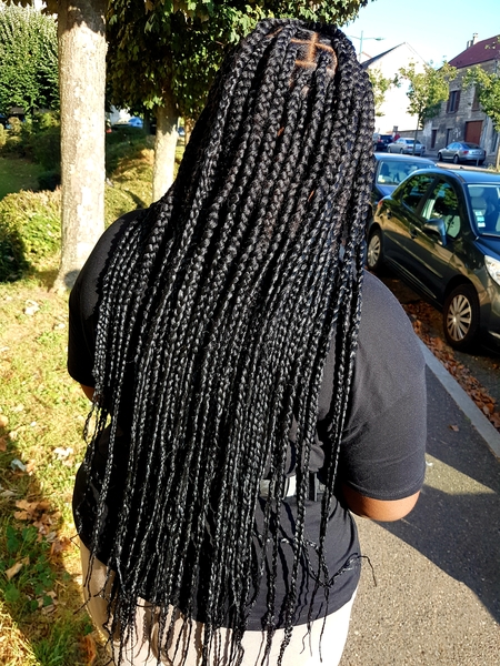 salon de coiffure afro tresse tresses box braids crochet braids vanilles tissages paris 75 77 78 91 92 93 94 95 EYIKLLON
