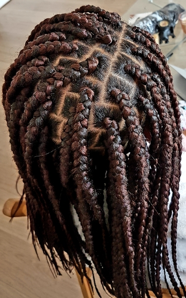 salon de coiffure afro tresse tresses box braids crochet braids vanilles tissages paris 75 77 78 91 92 93 94 95 TIBQVPSC