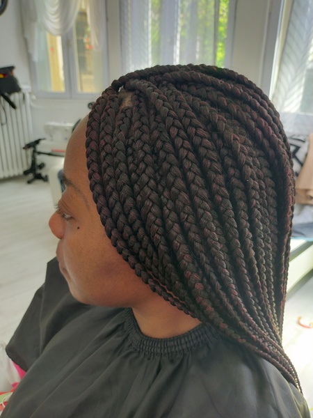 salon de coiffure afro tresse tresses box braids crochet braids vanilles tissages paris 75 77 78 91 92 93 94 95 DMAZODIG