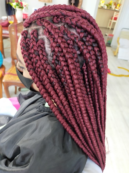 salon de coiffure afro tresse tresses box braids crochet braids vanilles tissages paris 75 77 78 91 92 93 94 95 SGDPHNIF