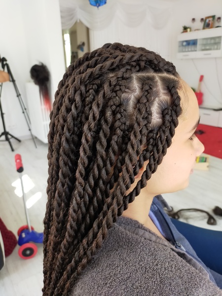 salon de coiffure afro tresse tresses box braids crochet braids vanilles tissages paris 75 77 78 91 92 93 94 95 HBADARIF