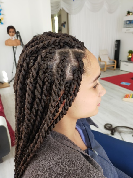 salon de coiffure afro tresse tresses box braids crochet braids vanilles tissages paris 75 77 78 91 92 93 94 95 MDUFRGSB