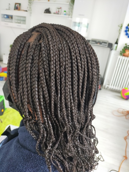 salon de coiffure afro tresse tresses box braids crochet braids vanilles tissages paris 75 77 78 91 92 93 94 95 DGTCLXUA