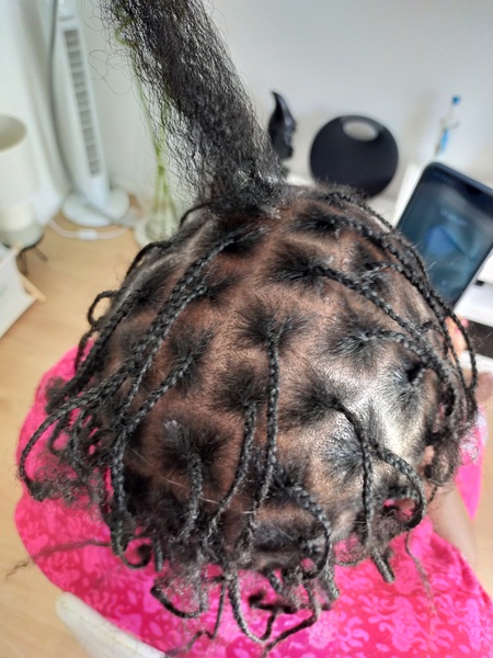 salon de coiffure afro tresse tresses box braids crochet braids vanilles tissages paris 75 77 78 91 92 93 94 95 QMCTOQOU