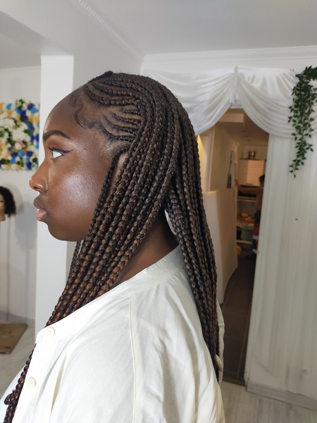 salon de coiffure afro tresse tresses box braids crochet braids vanilles tissages paris 75 77 78 91 92 93 94 95 IXOAMDGN