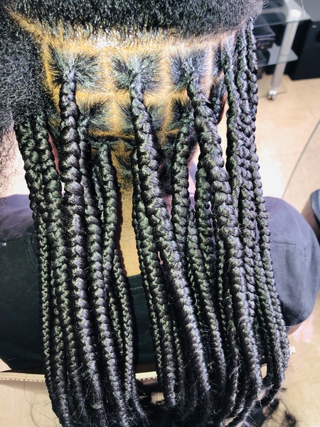salon de coiffure afro tresse tresses box braids crochet braids vanilles tissages paris 75 77 78 91 92 93 94 95 WSMBMHAV