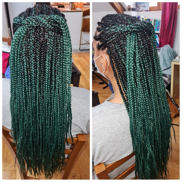salon de coiffure afro tresse tresses box braids crochet braids vanilles tissages paris 75 77 78 91 92 93 94 95 IKAPCJCH