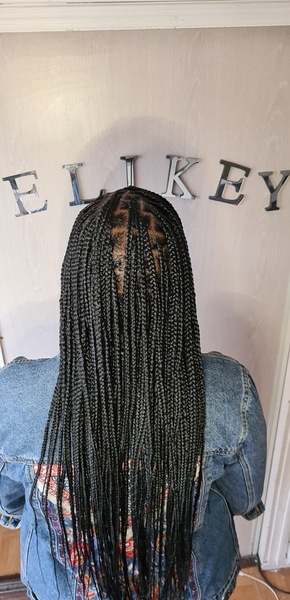 salon de coiffure afro tresse tresses box braids crochet braids vanilles tissages paris 75 77 78 91 92 93 94 95 WYOCFNRW