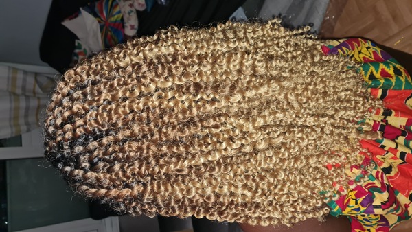 salon de coiffure afro tresse tresses box braids crochet braids vanilles tissages paris 75 77 78 91 92 93 94 95 HOAJUYOU