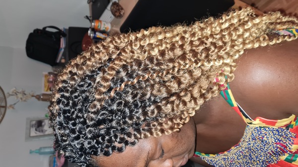 salon de coiffure afro tresse tresses box braids crochet braids vanilles tissages paris 75 77 78 91 92 93 94 95 MWWVPEEG