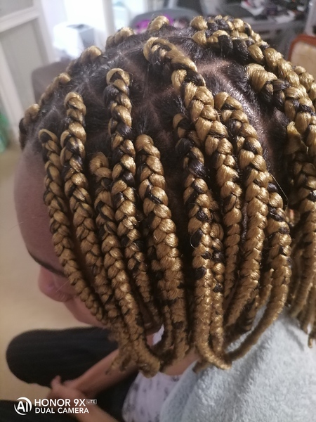 salon de coiffure afro tresse tresses box braids crochet braids vanilles tissages paris 75 77 78 91 92 93 94 95 SKLDXRYO