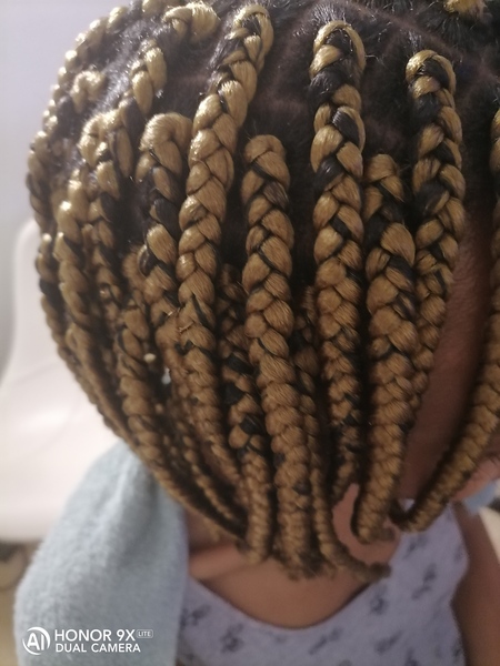 salon de coiffure afro tresse tresses box braids crochet braids vanilles tissages paris 75 77 78 91 92 93 94 95 LZDPNVLB