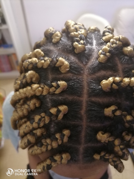 salon de coiffure afro tresse tresses box braids crochet braids vanilles tissages paris 75 77 78 91 92 93 94 95 USMEGWKF