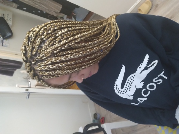 salon de coiffure afro tresse tresses box braids crochet braids vanilles tissages paris 75 77 78 91 92 93 94 95 GEZSSLLT